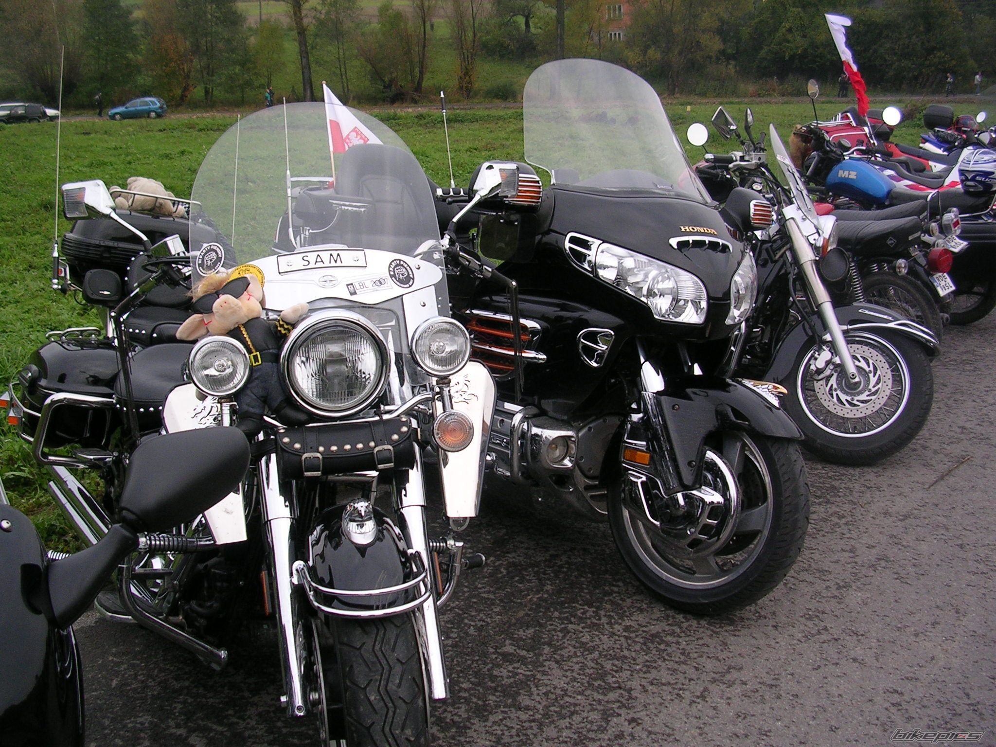 Photo 1439863