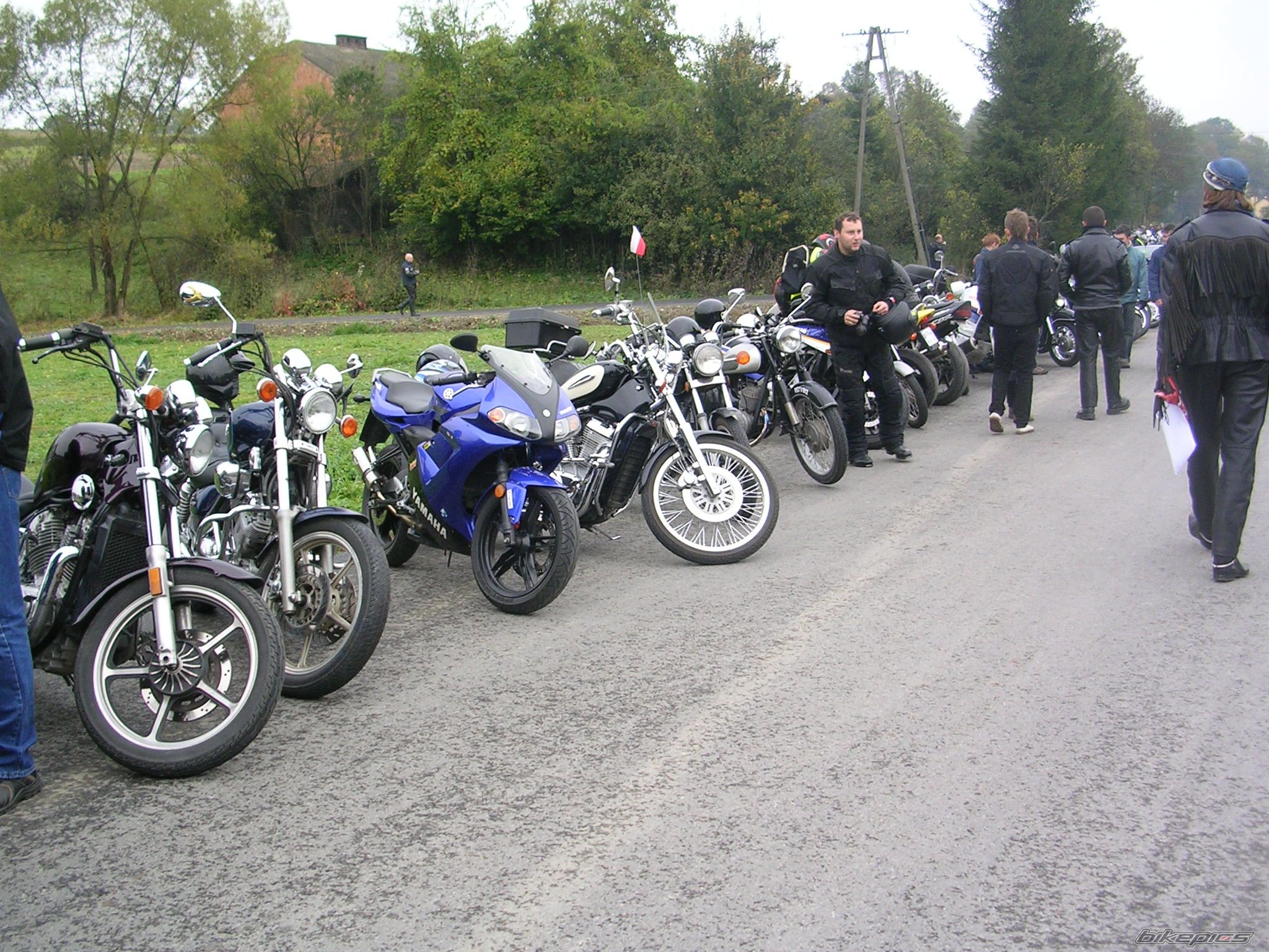 Photo 1439873