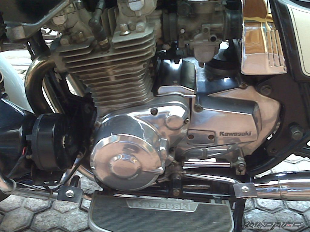 Photo 1439903