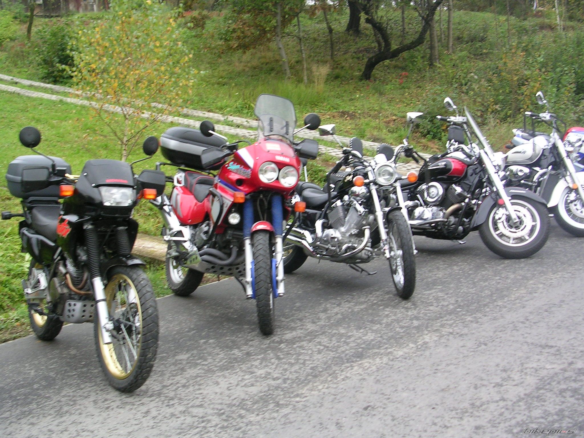 Photo 1439928
