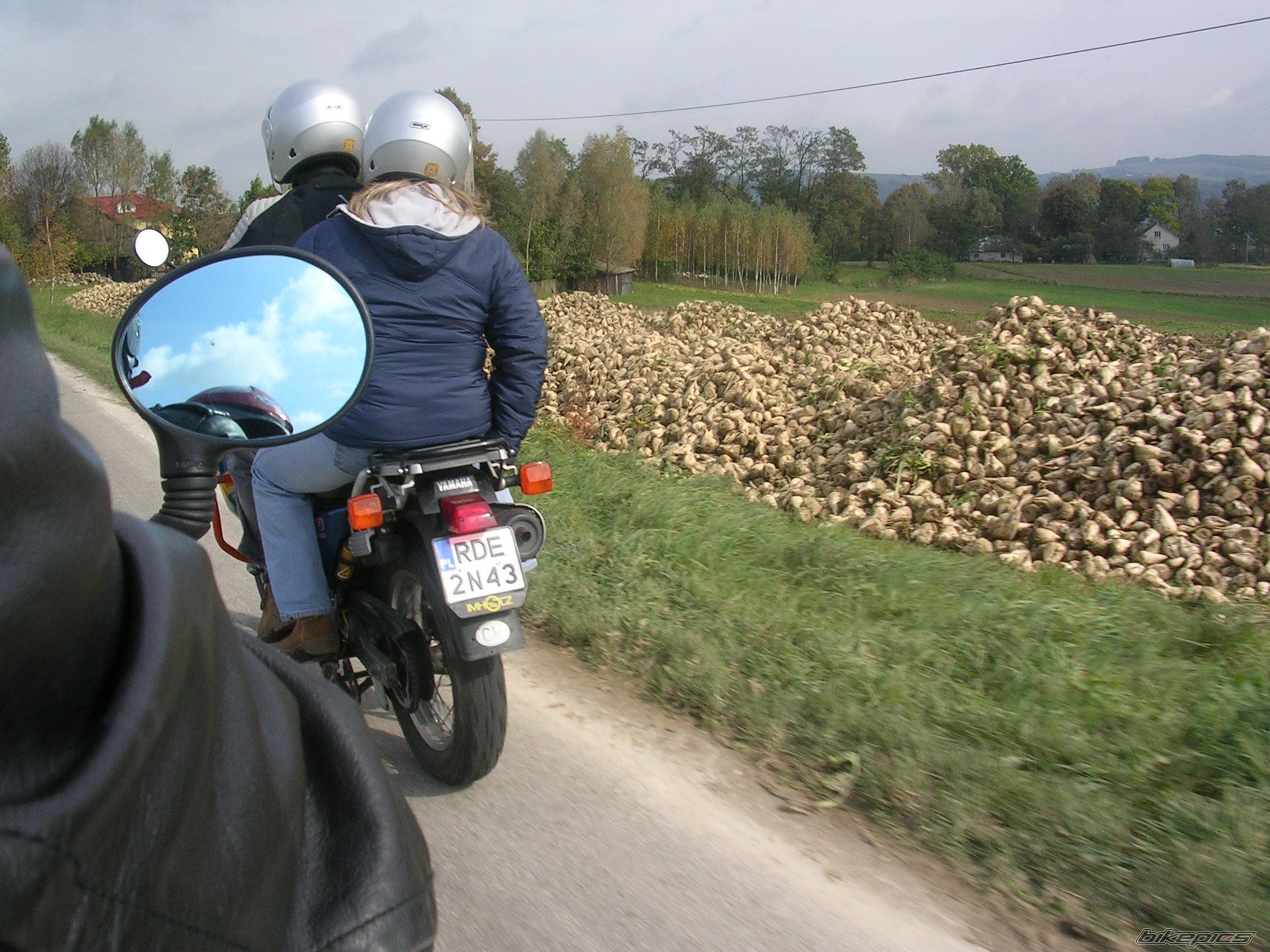Photo 1439949