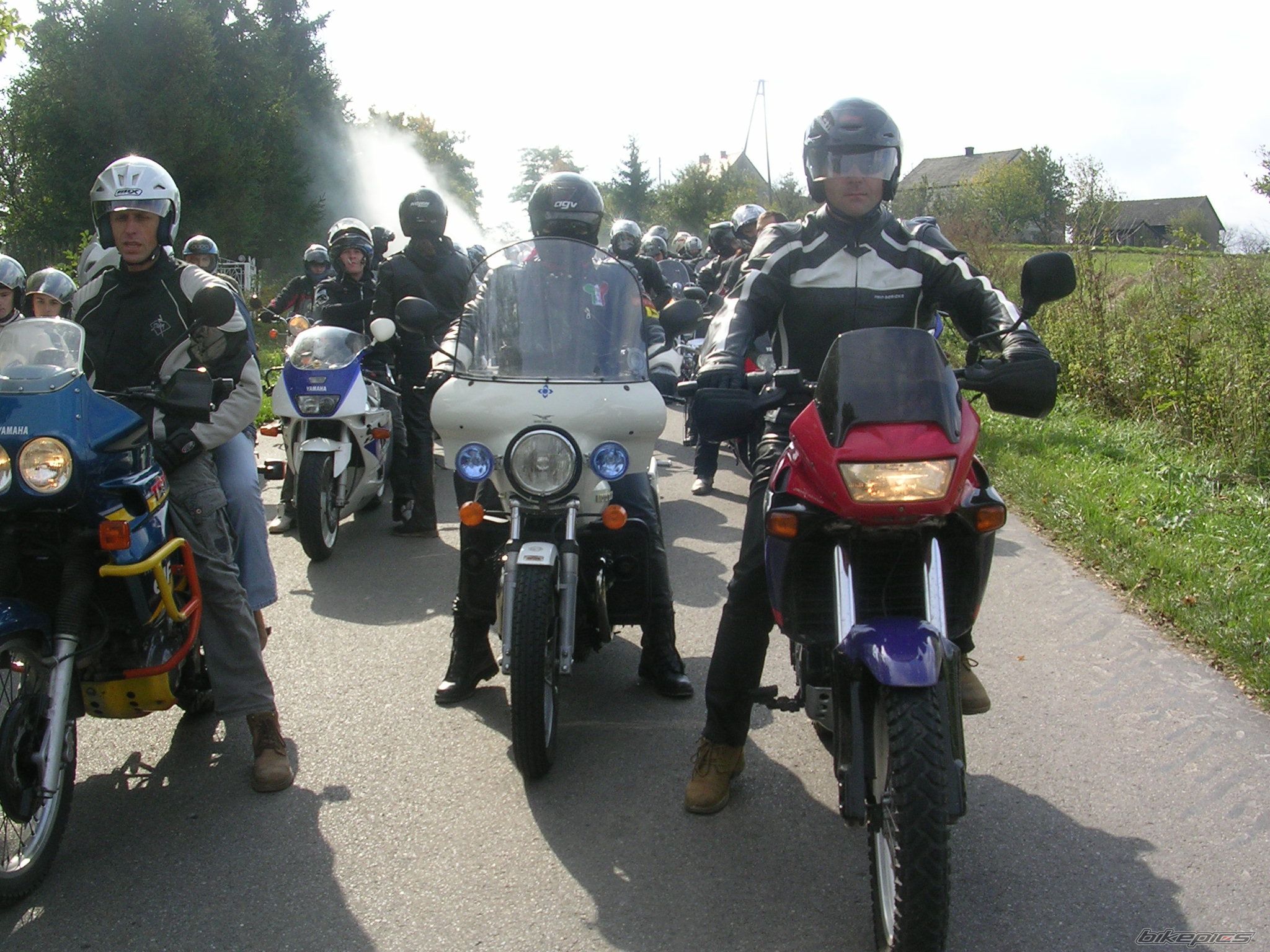 Photo 1439952