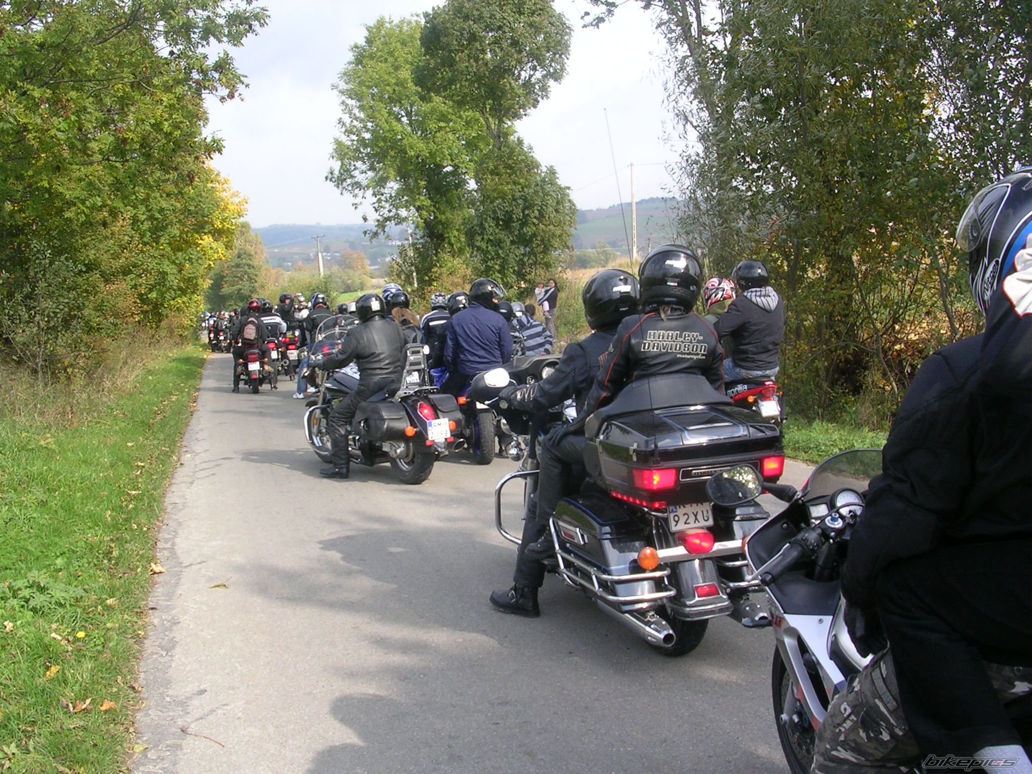 Photo 1439958