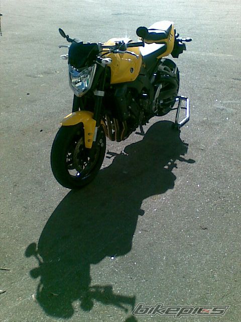 Photo 1439978