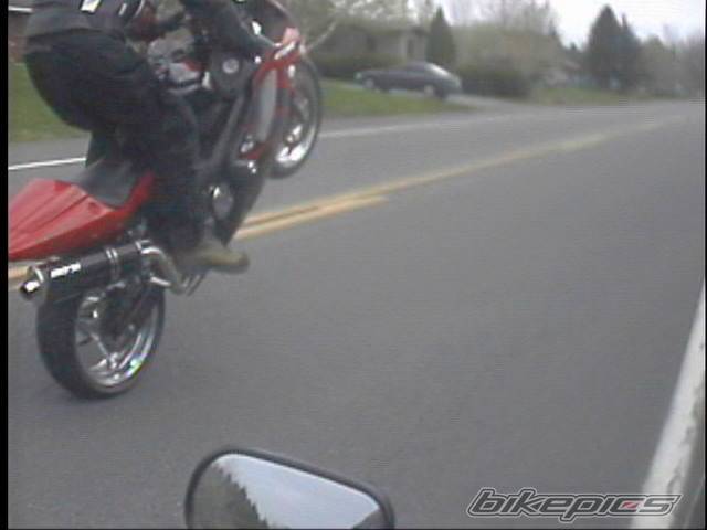 Photo 144005