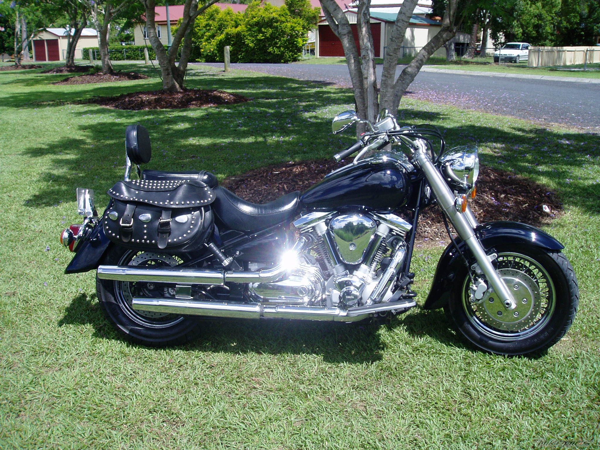 Photo 1440067