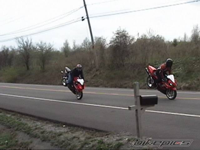 Photo 144008