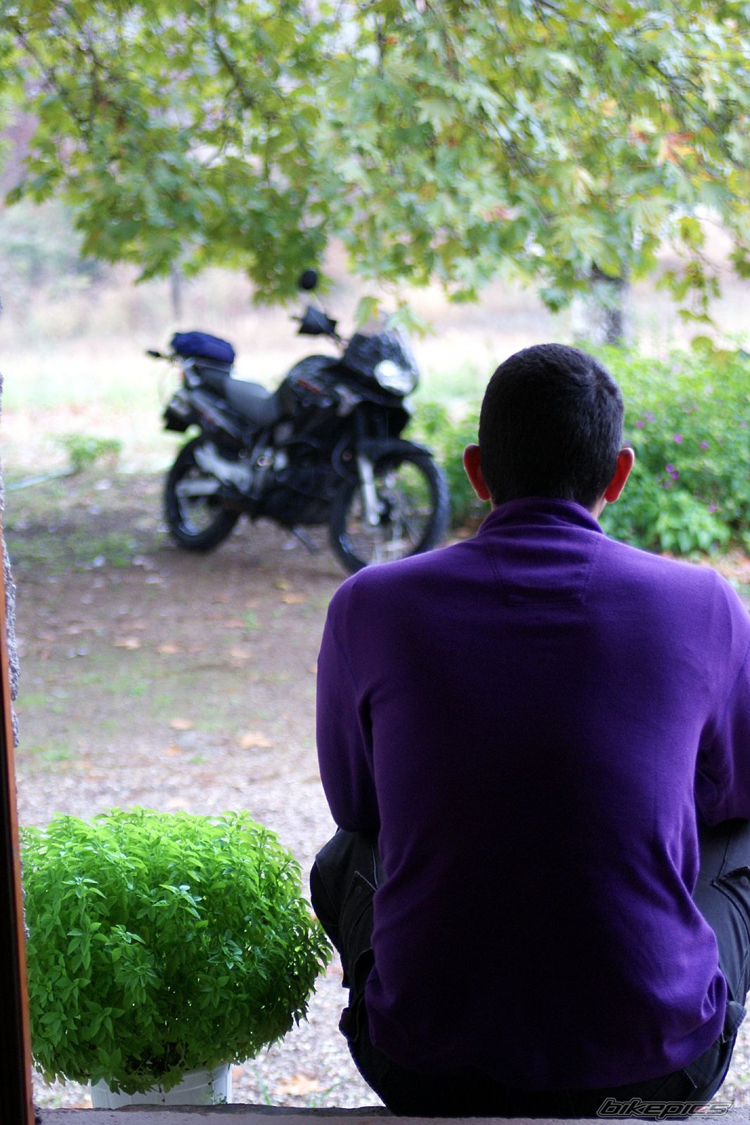 Bike Photo 1440096