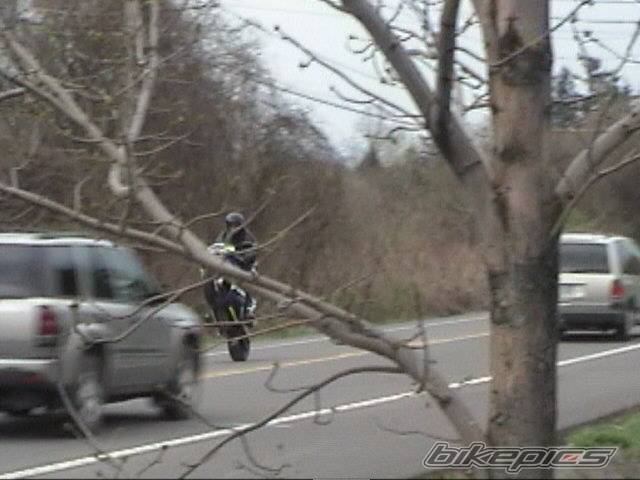 Bike Photo 144014