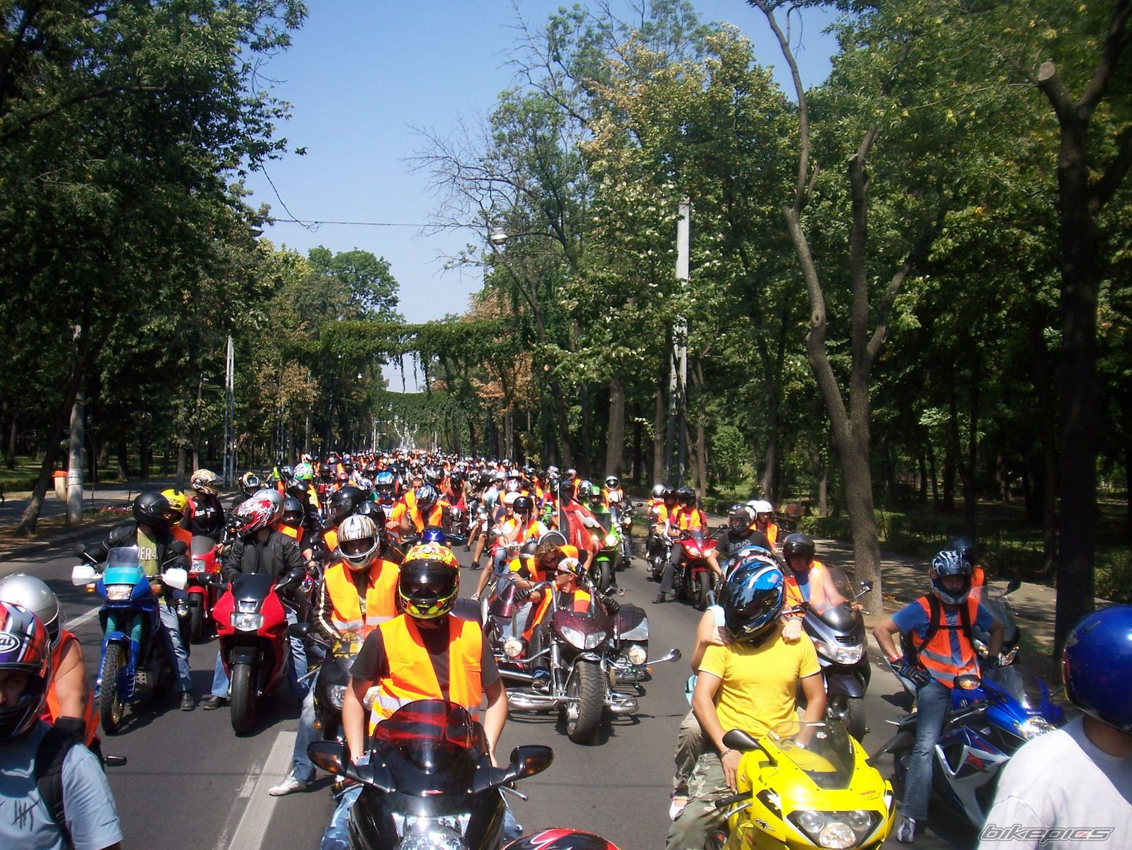 Photo 1440140