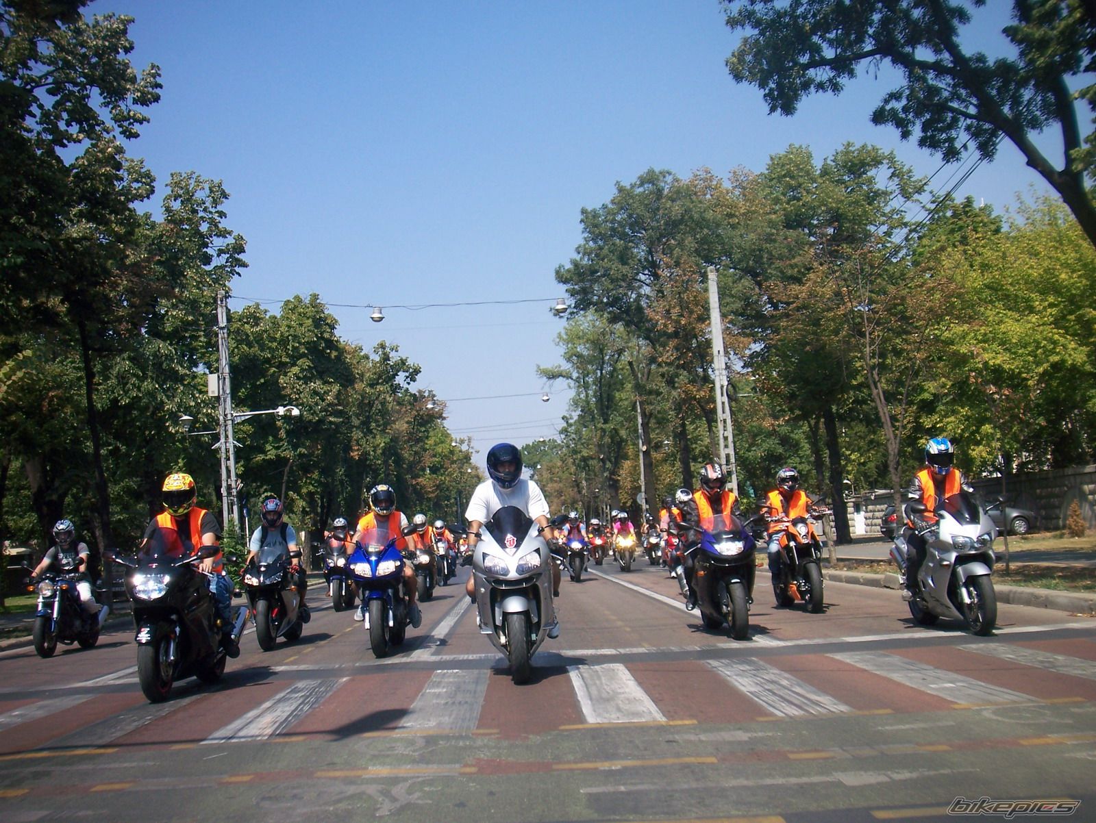 Photo 1440141