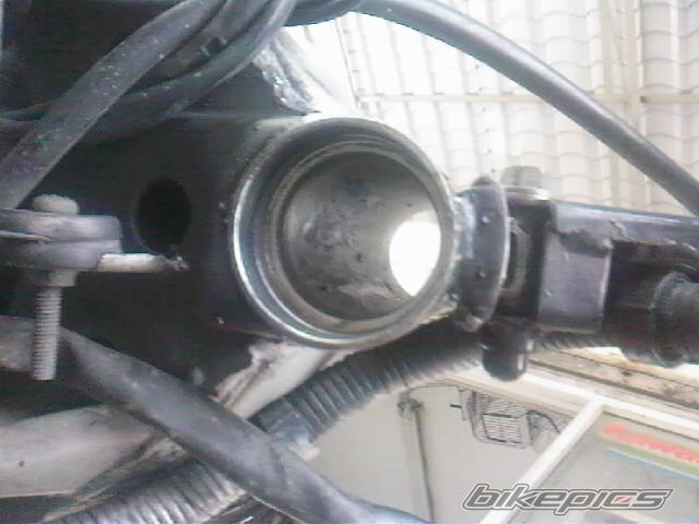 Photo 1440162