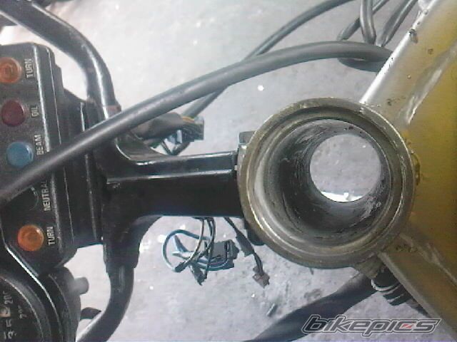 Photo 1440163