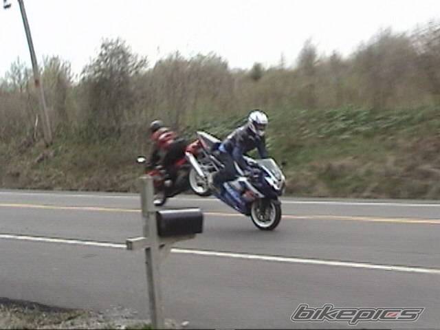 Photo 144019