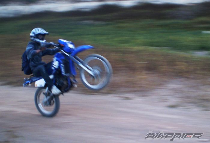 Photo 1440224