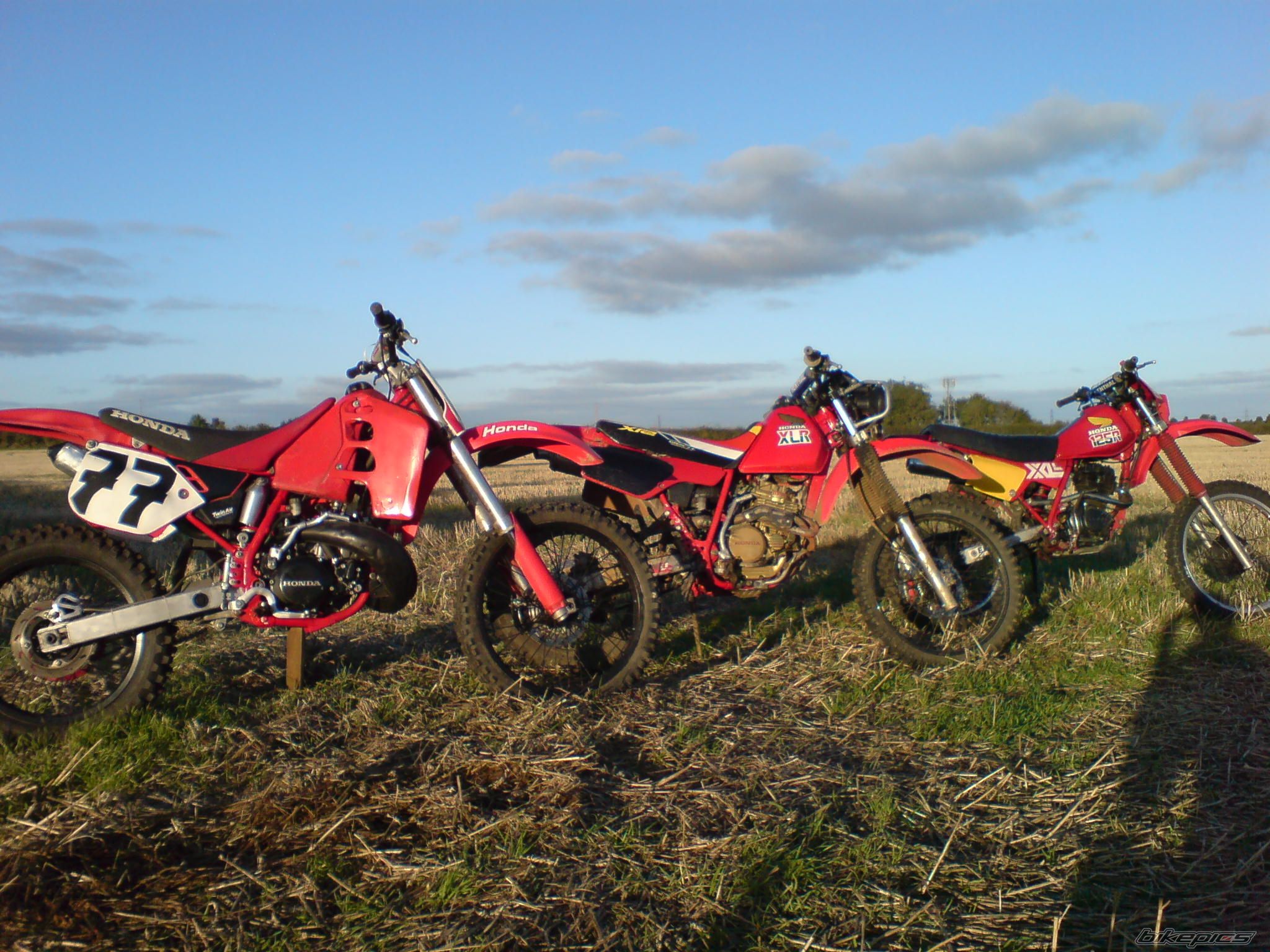 Photo 1440292