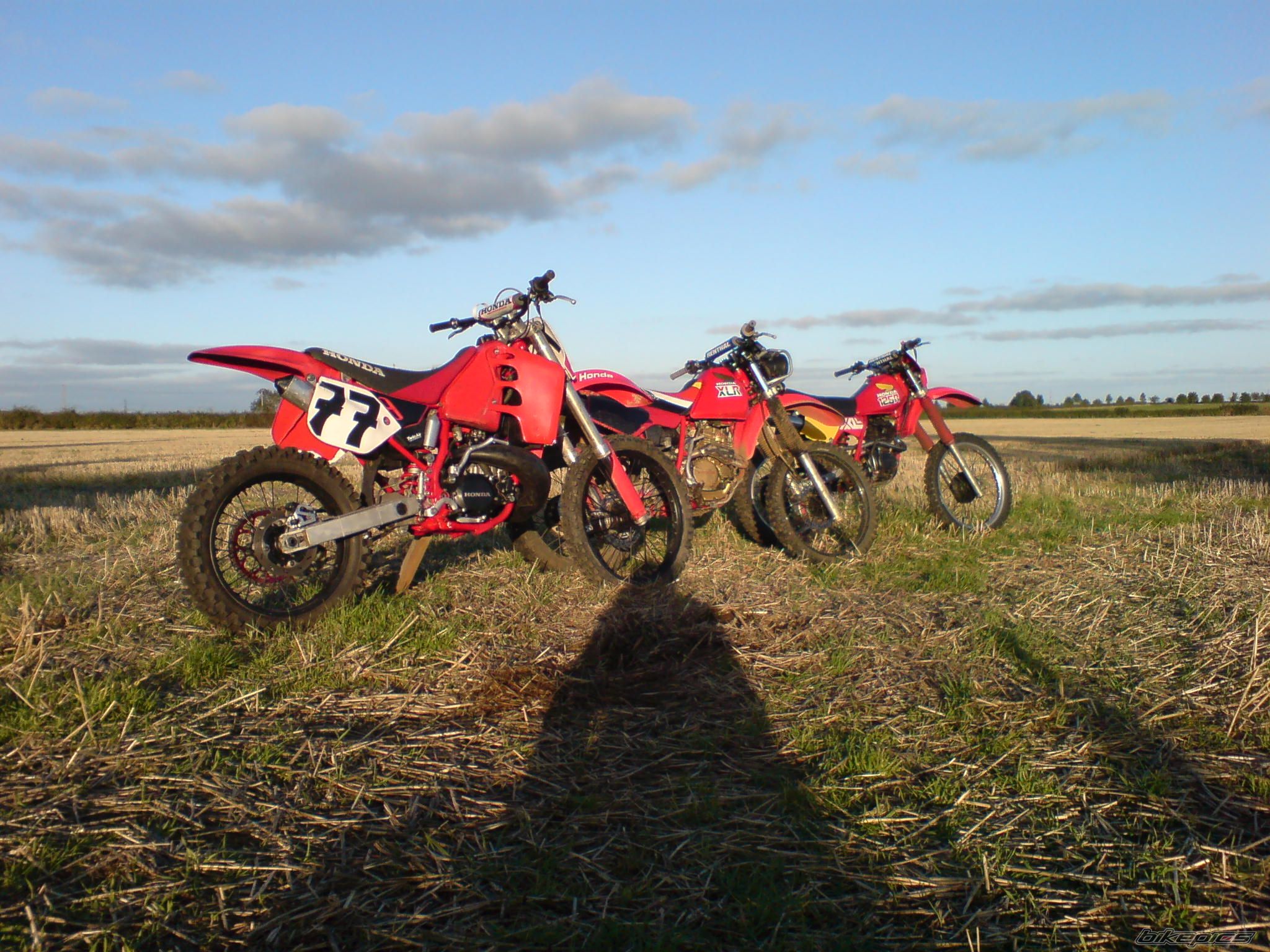 Photo 1440295