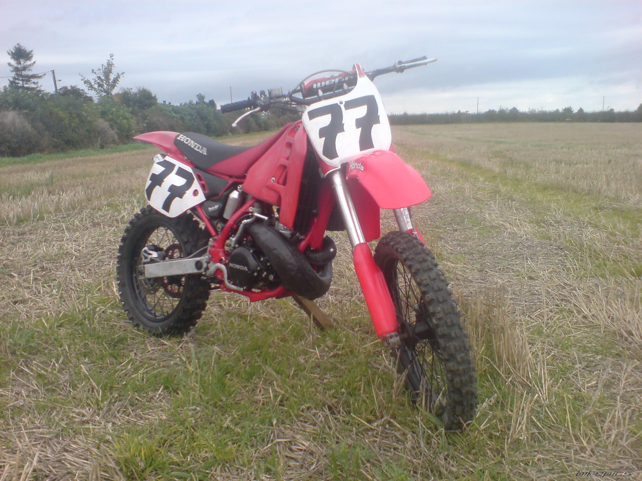 Photo 1440297