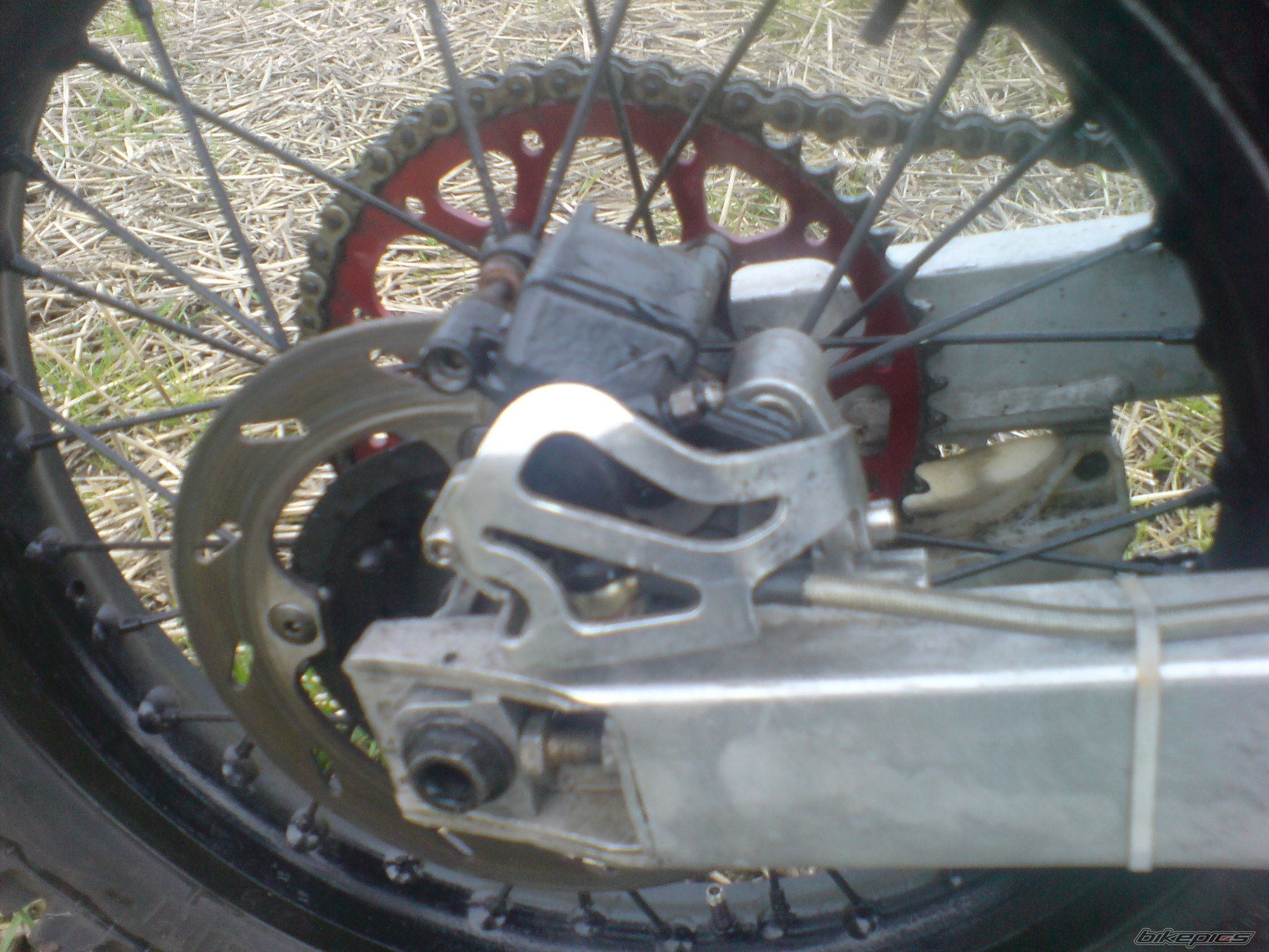 Photo 1440302