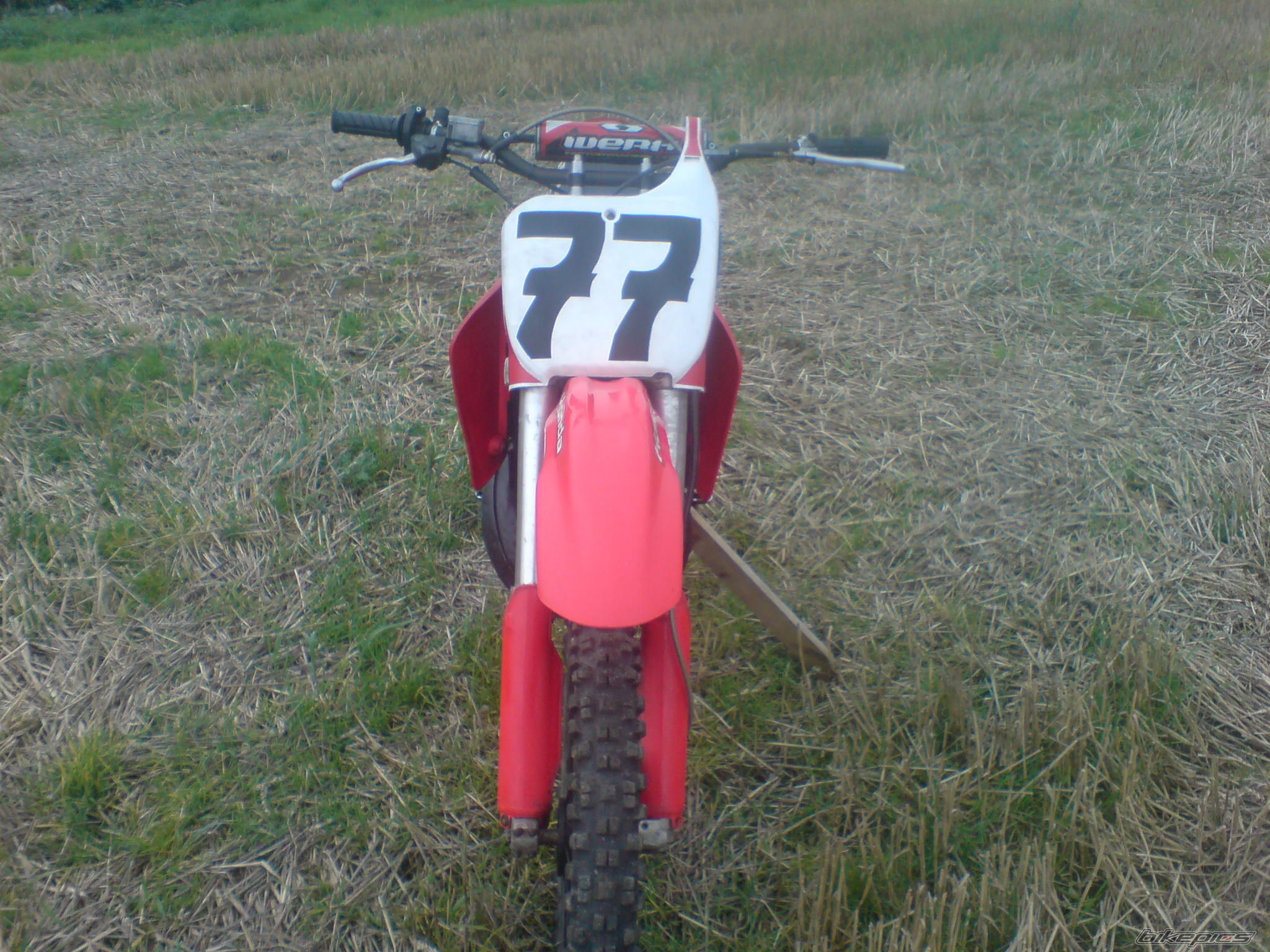 Photo 1440306