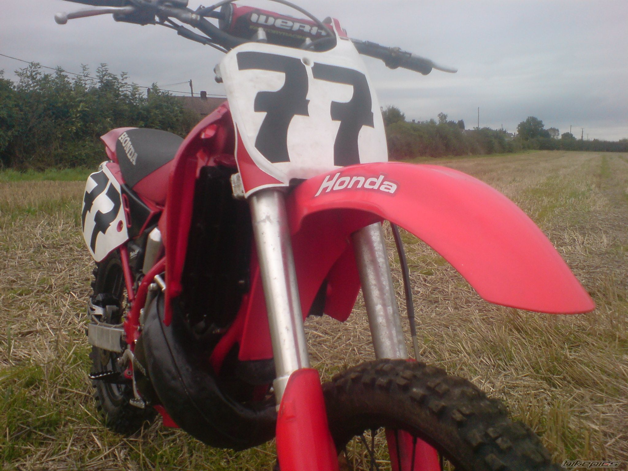 Photo 1440307