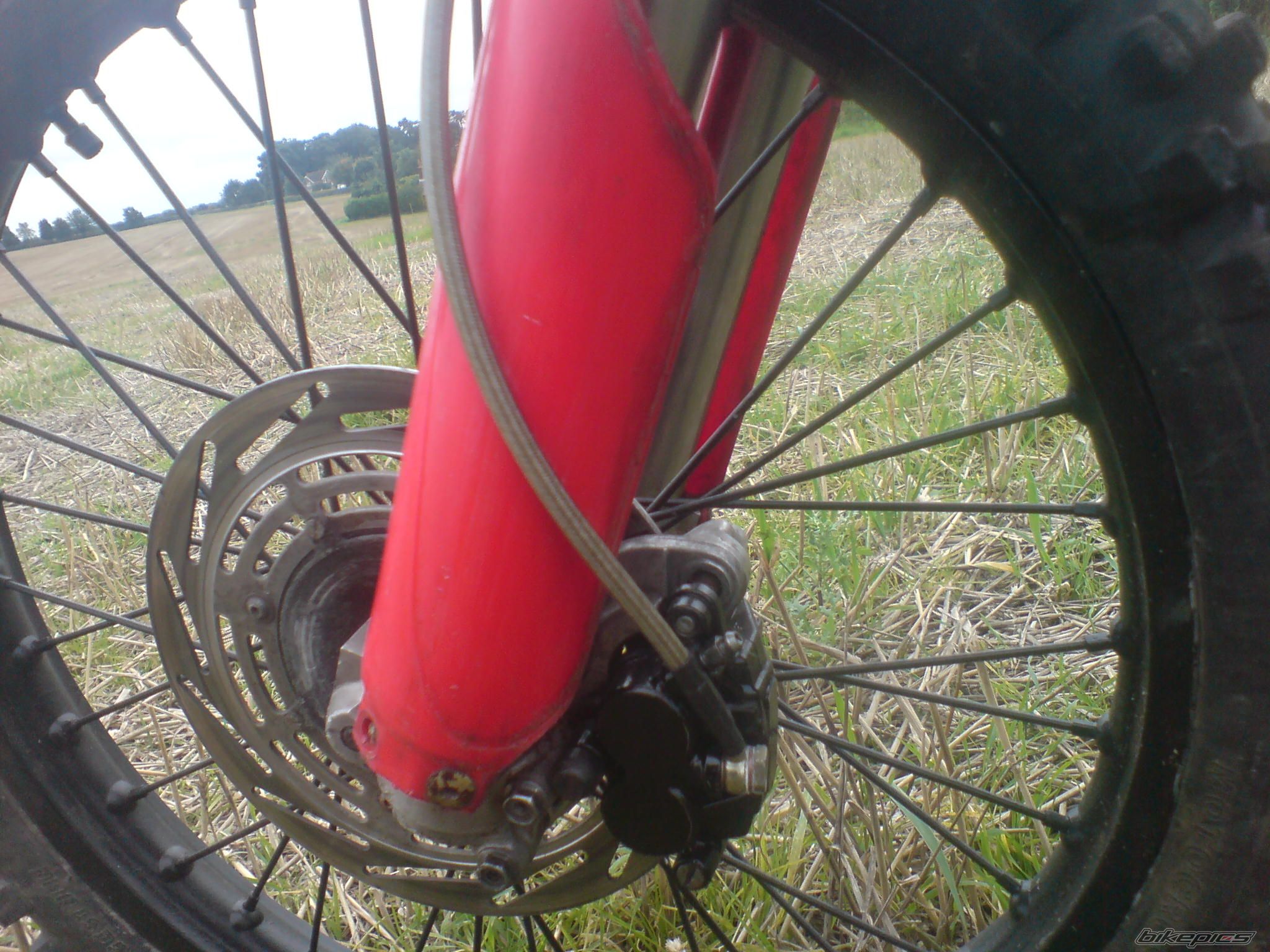 Photo 1440309