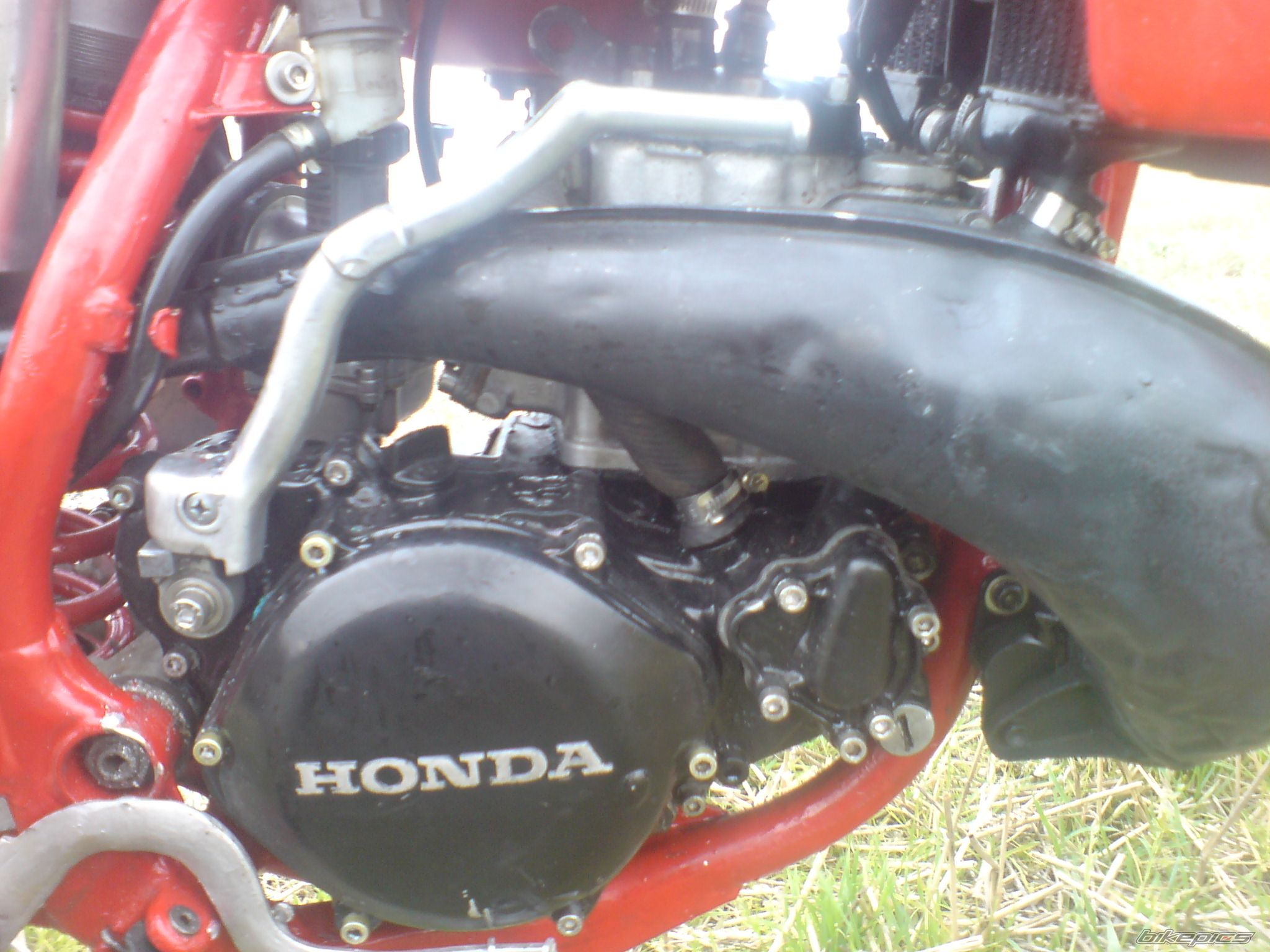 Photo 1440321