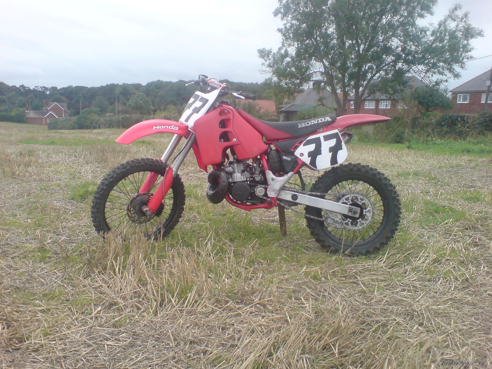 Photo 1440322