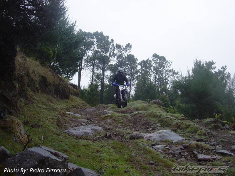 Bike Photo 144037