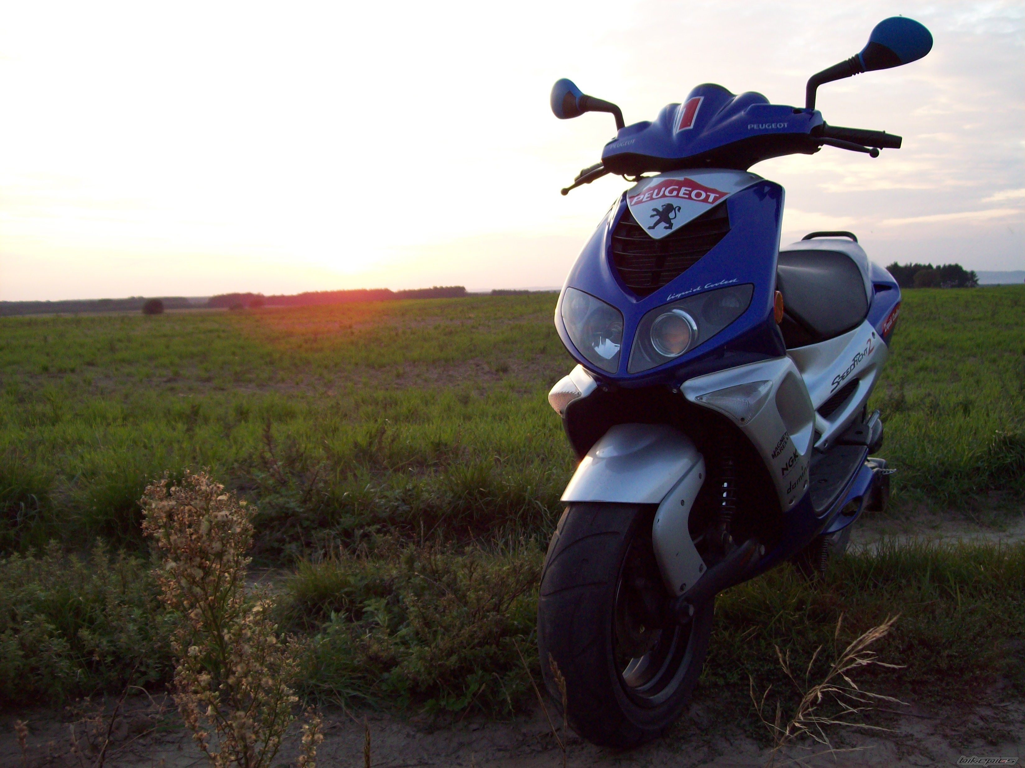 Photo 1440374