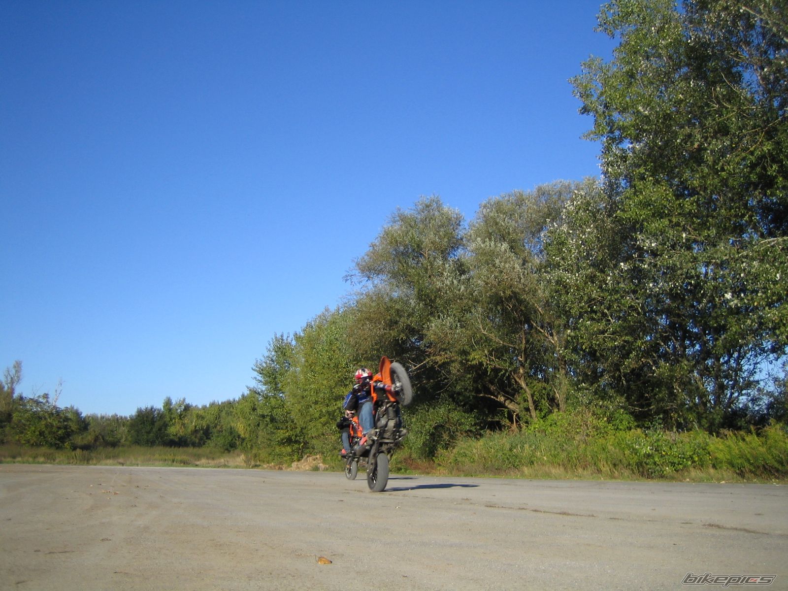 Photo 1440383