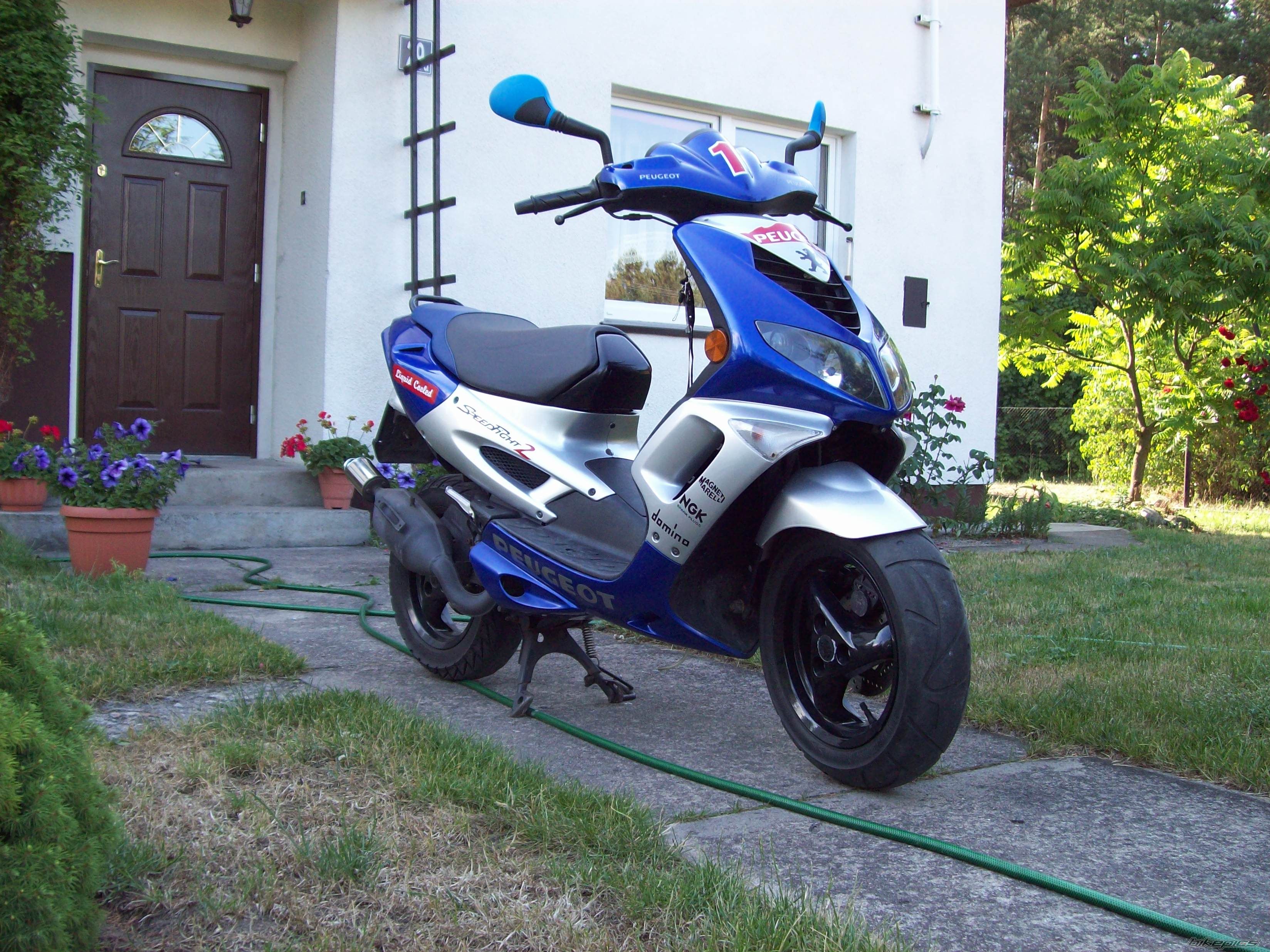 Photo 1440384