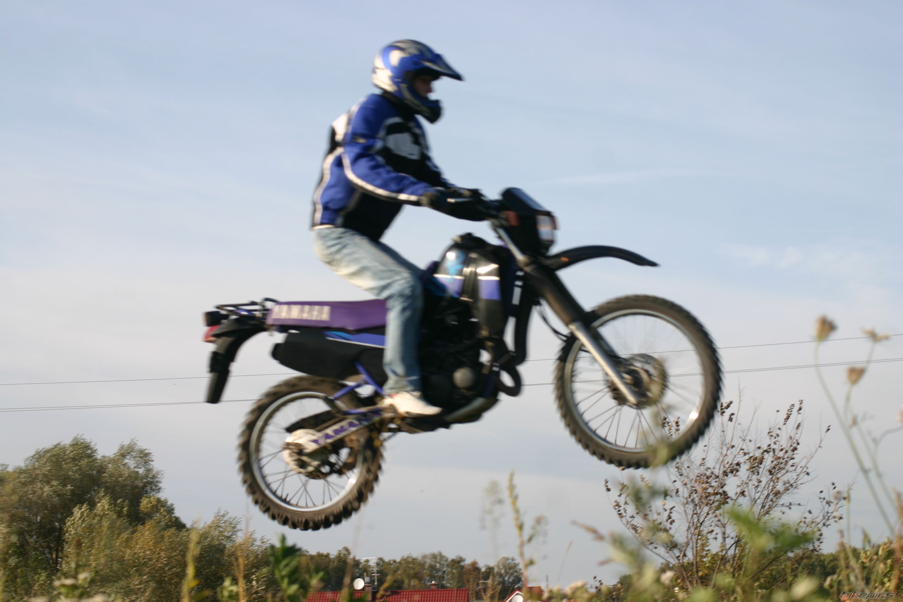 Photo 1440424