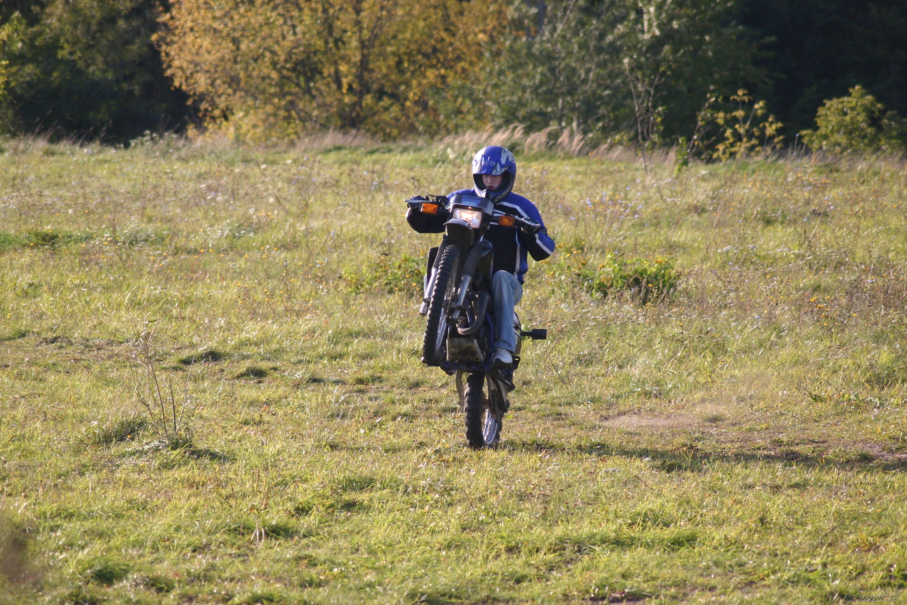 Photo 1440434