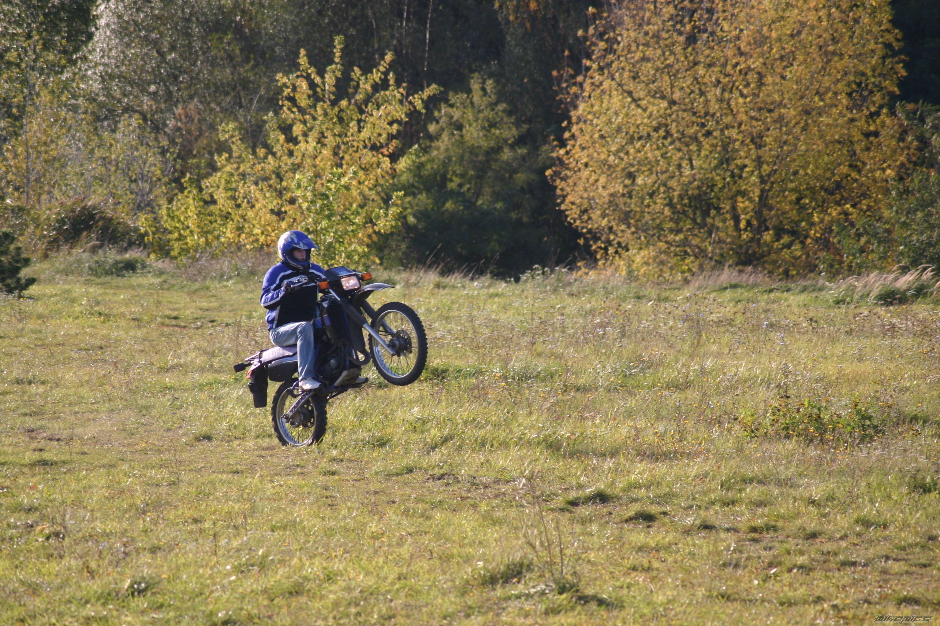 Photo 1440449