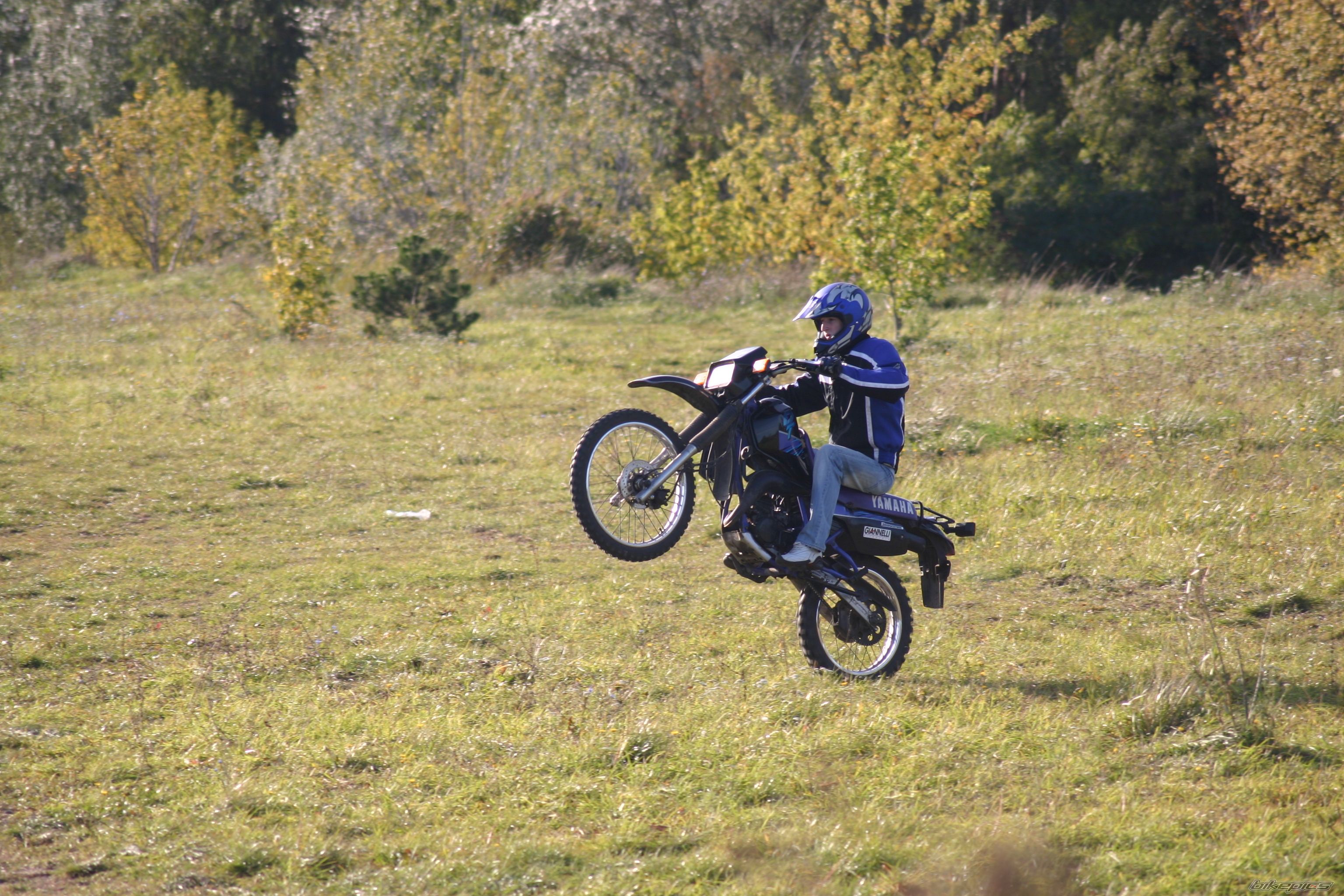 Photo 1440454