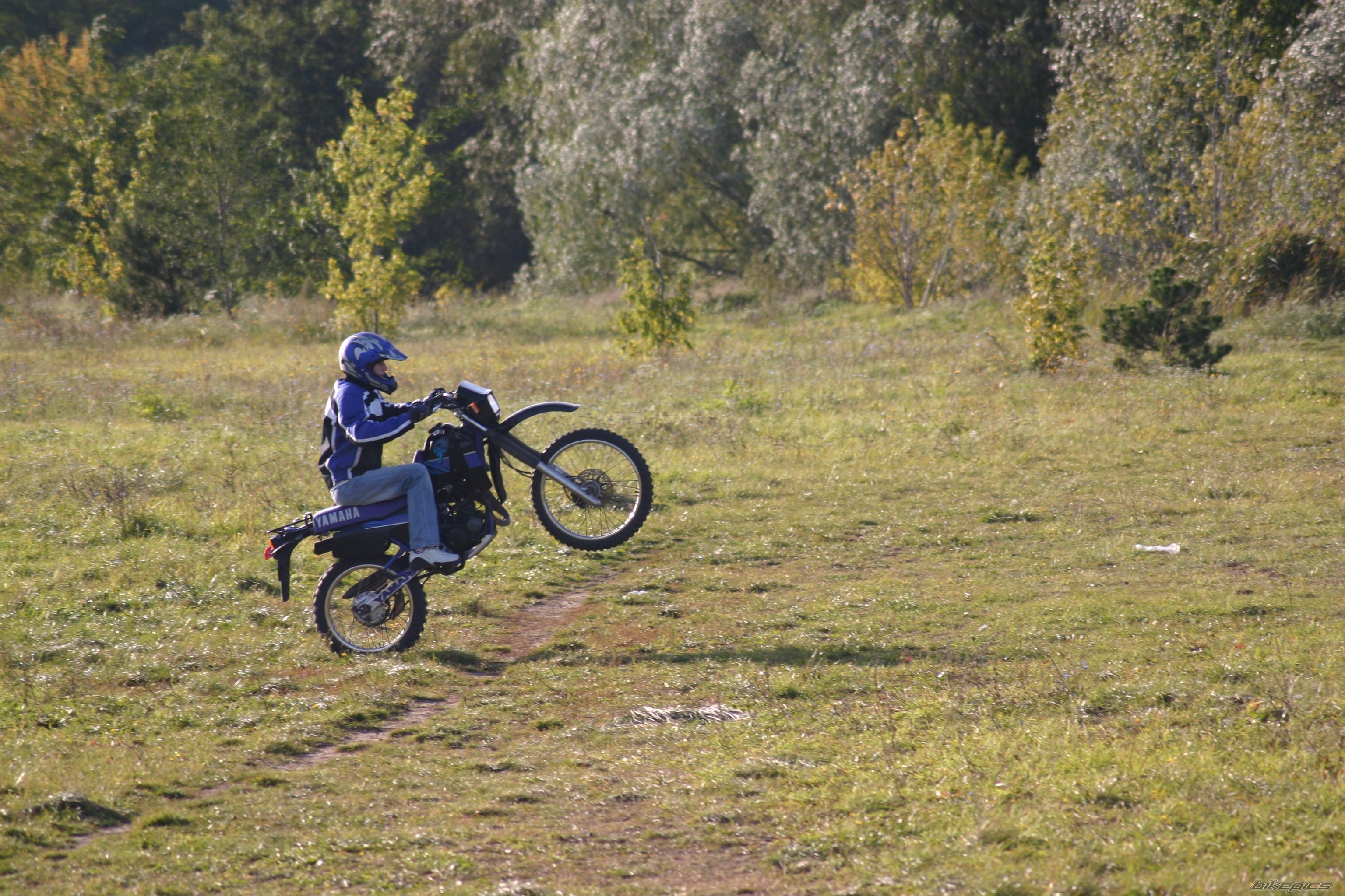 Photo 1440457