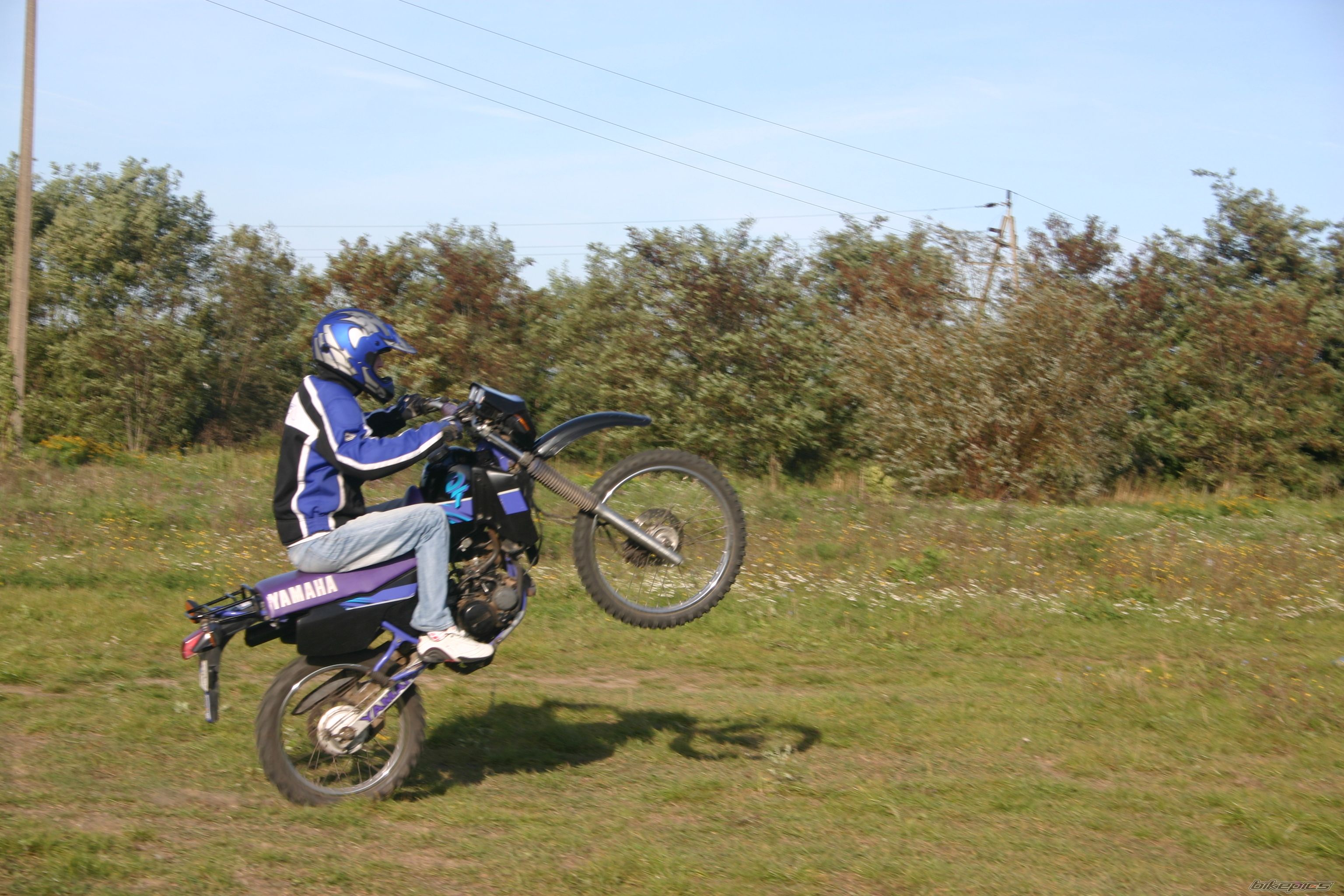 Photo 1440461
