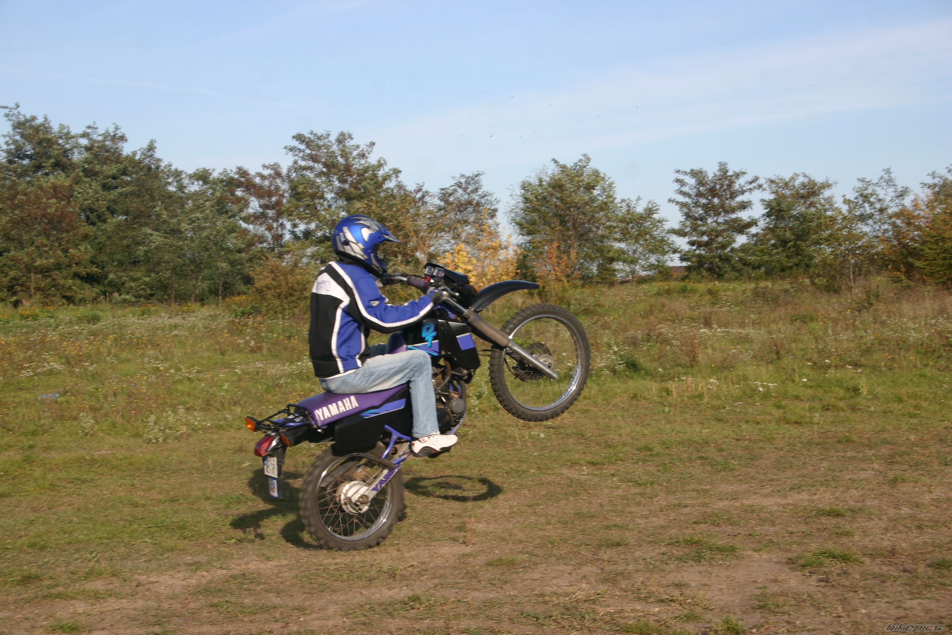 Photo 1440468