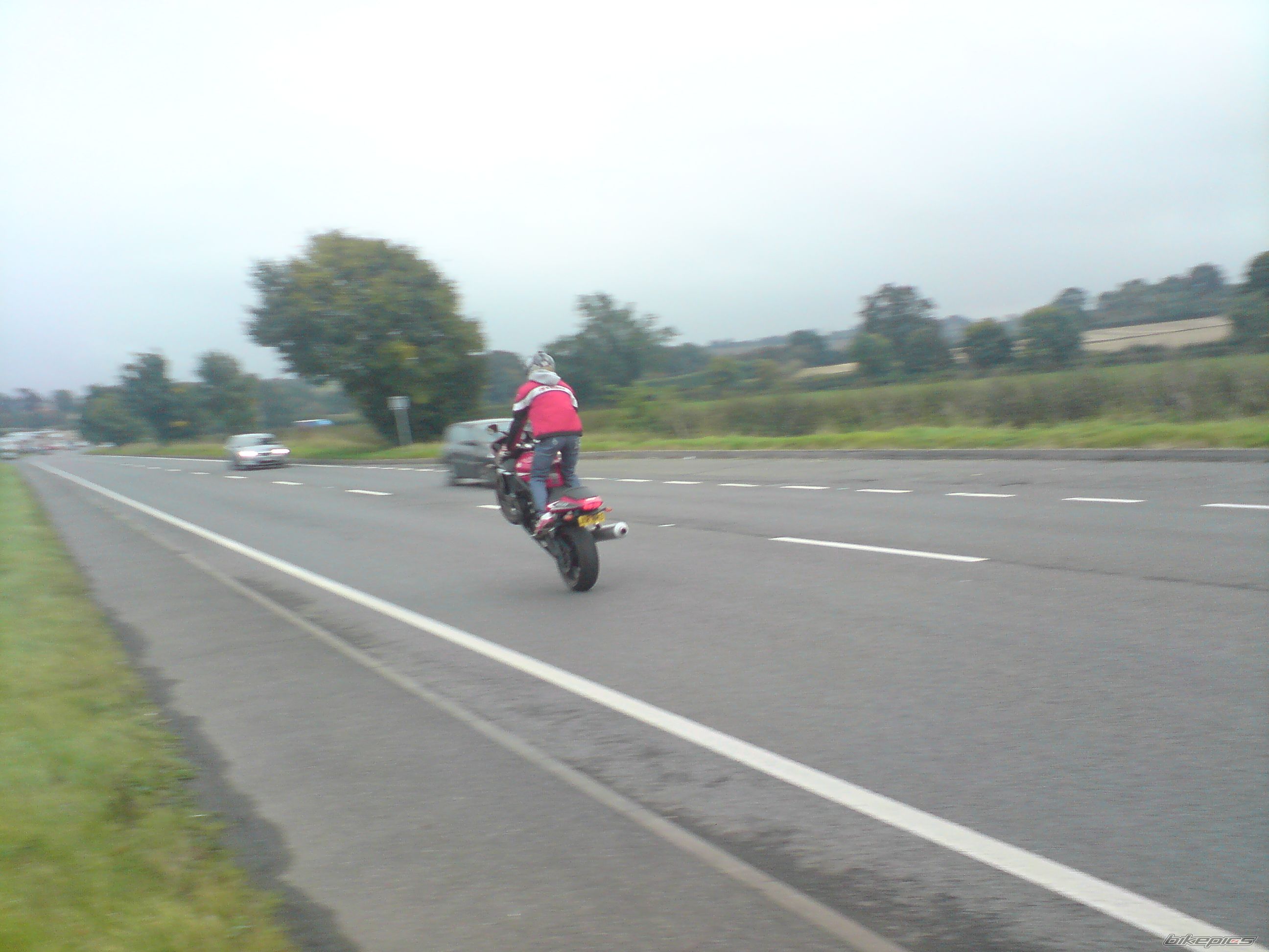 Photo 1440472