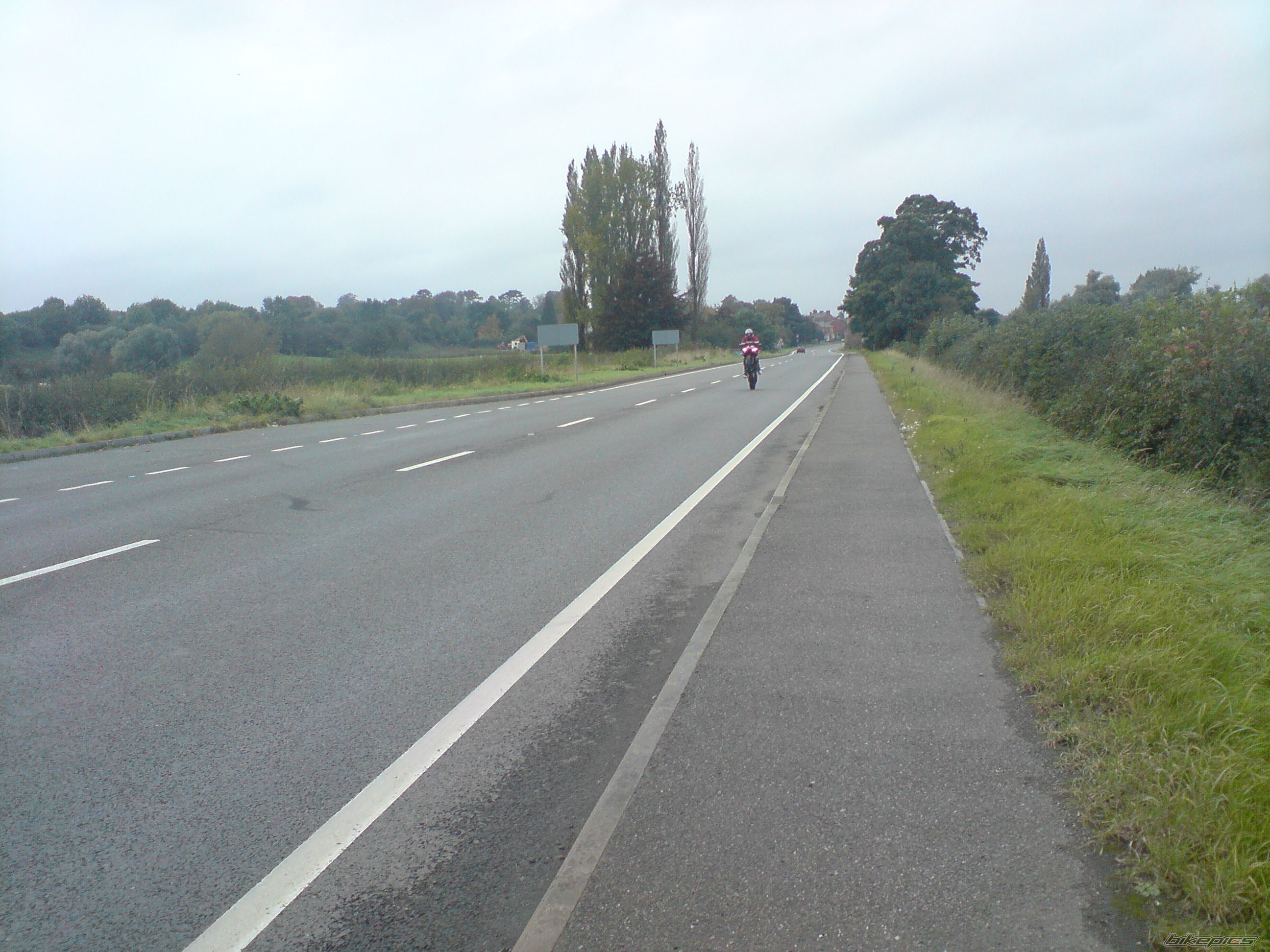 Photo 1440481