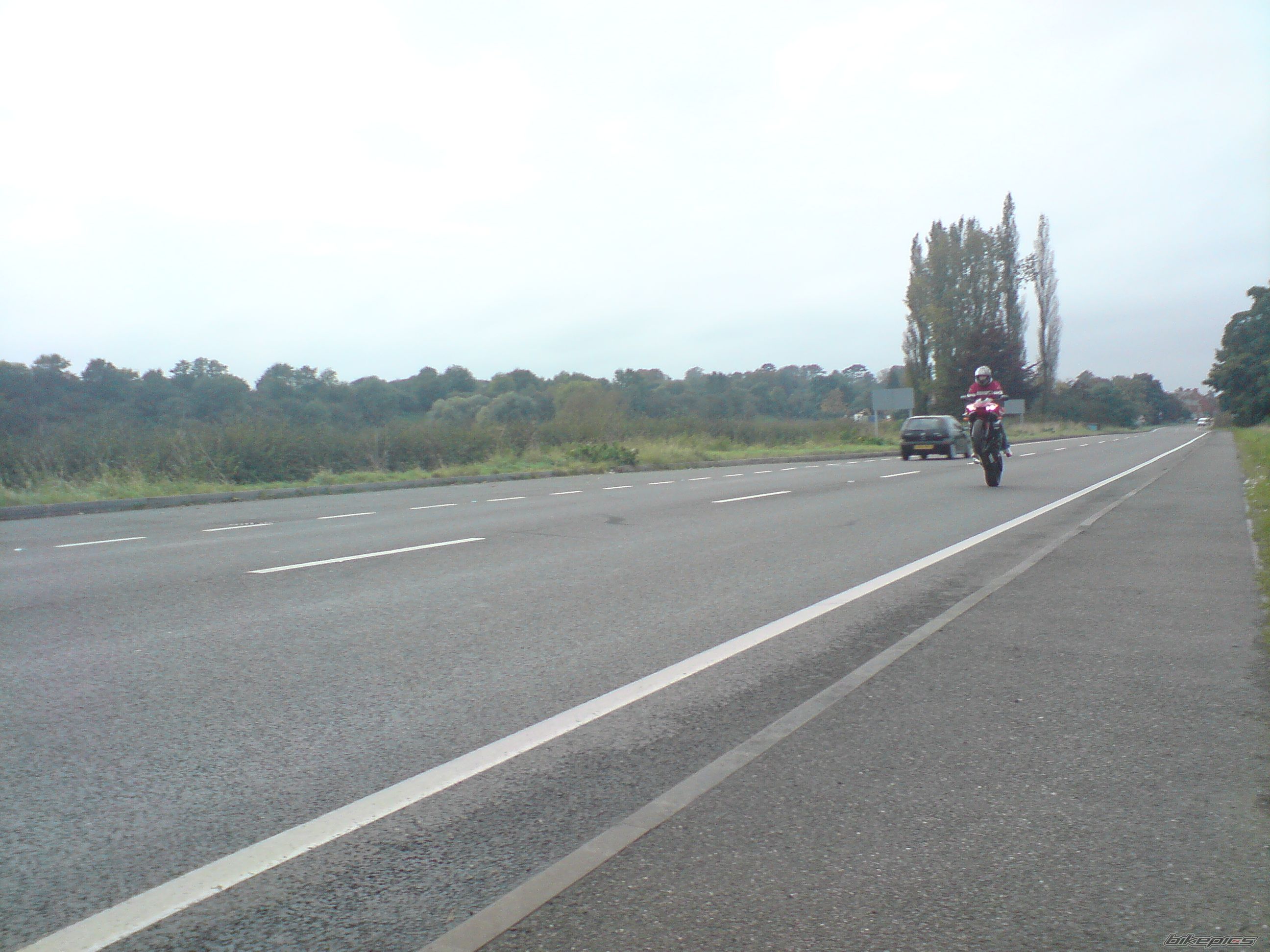 Photo 1440484