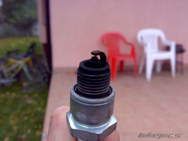 Photo 1440498