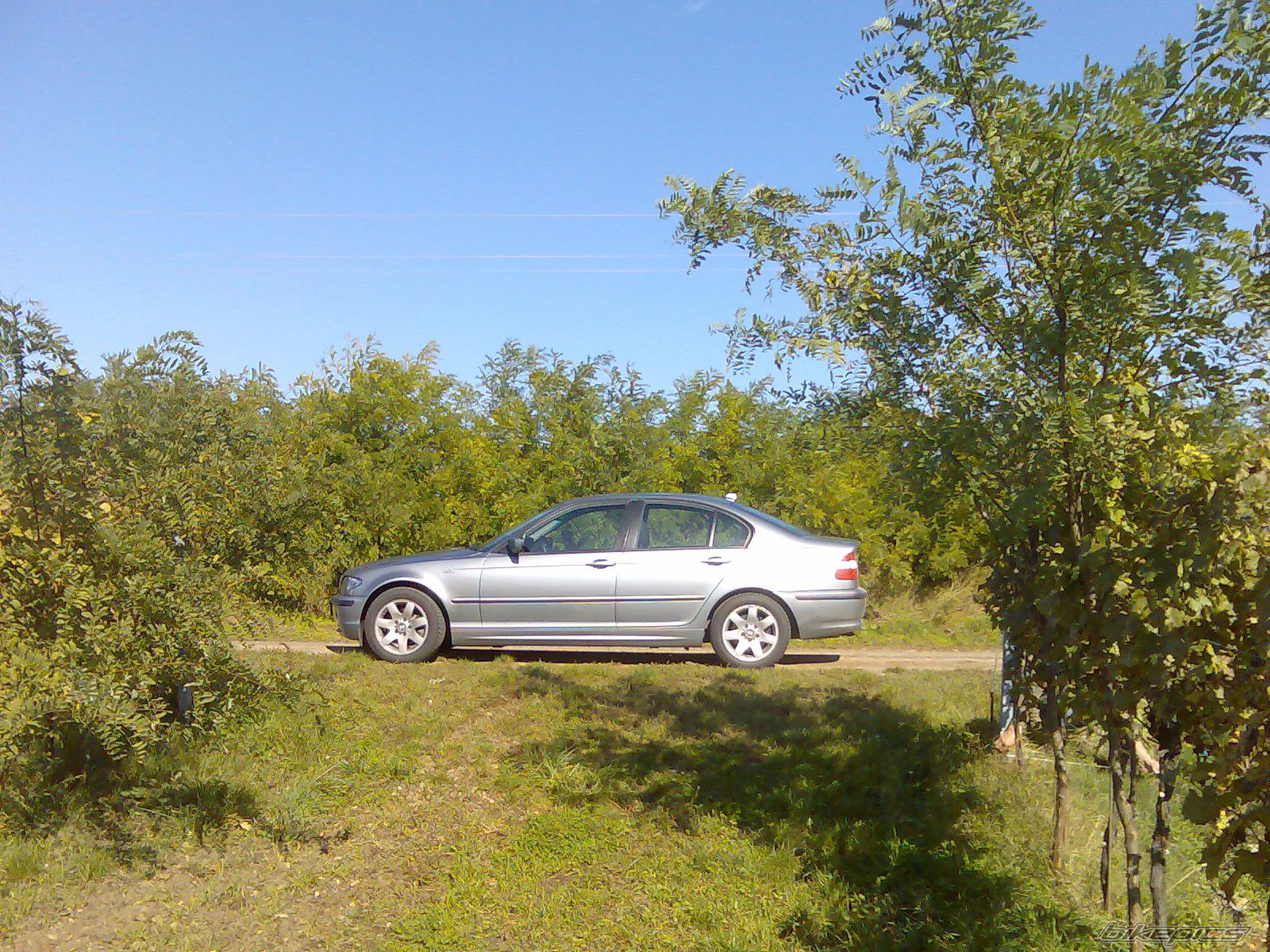 Photo 1440512
