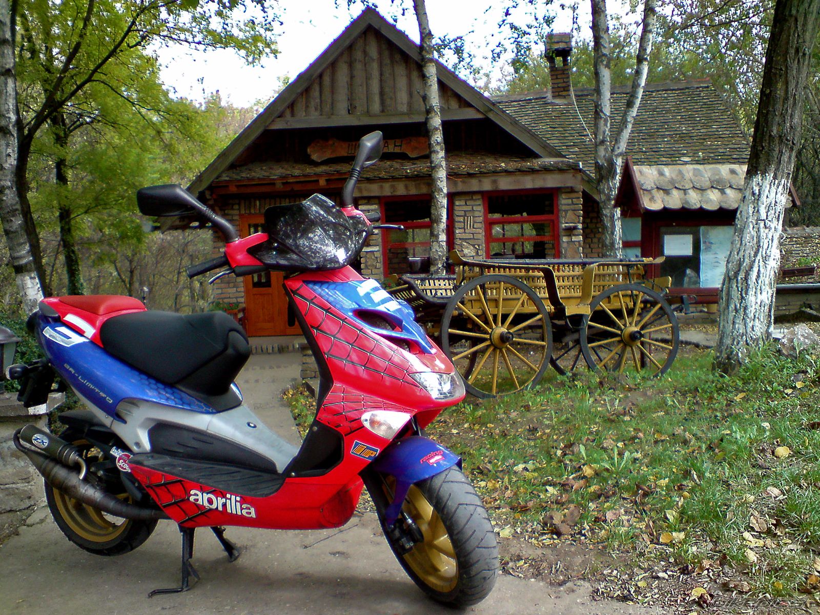 Photo 1440565