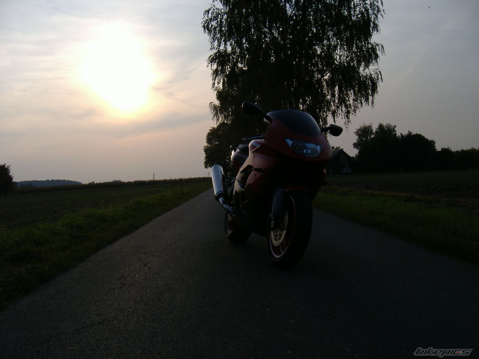 Photo 1440625