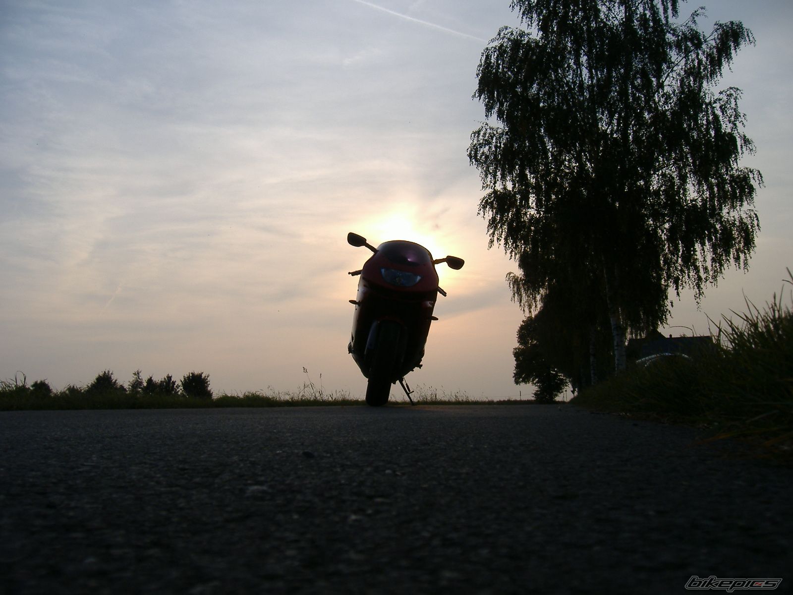 Photo 1440626