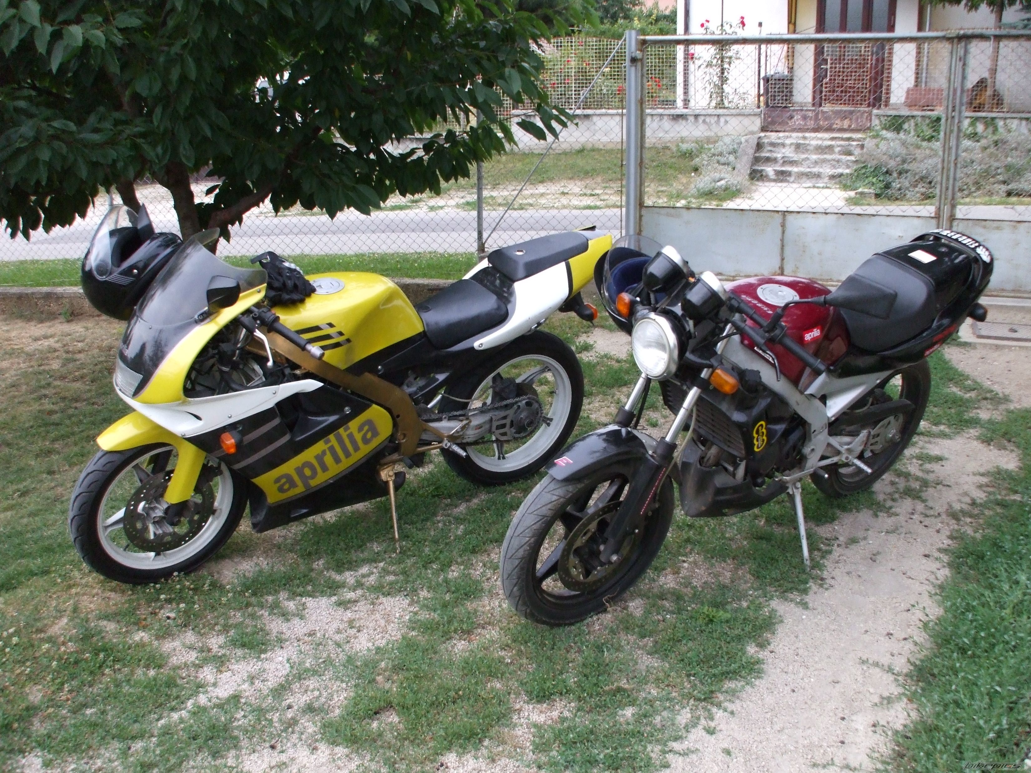 Photo 1440755