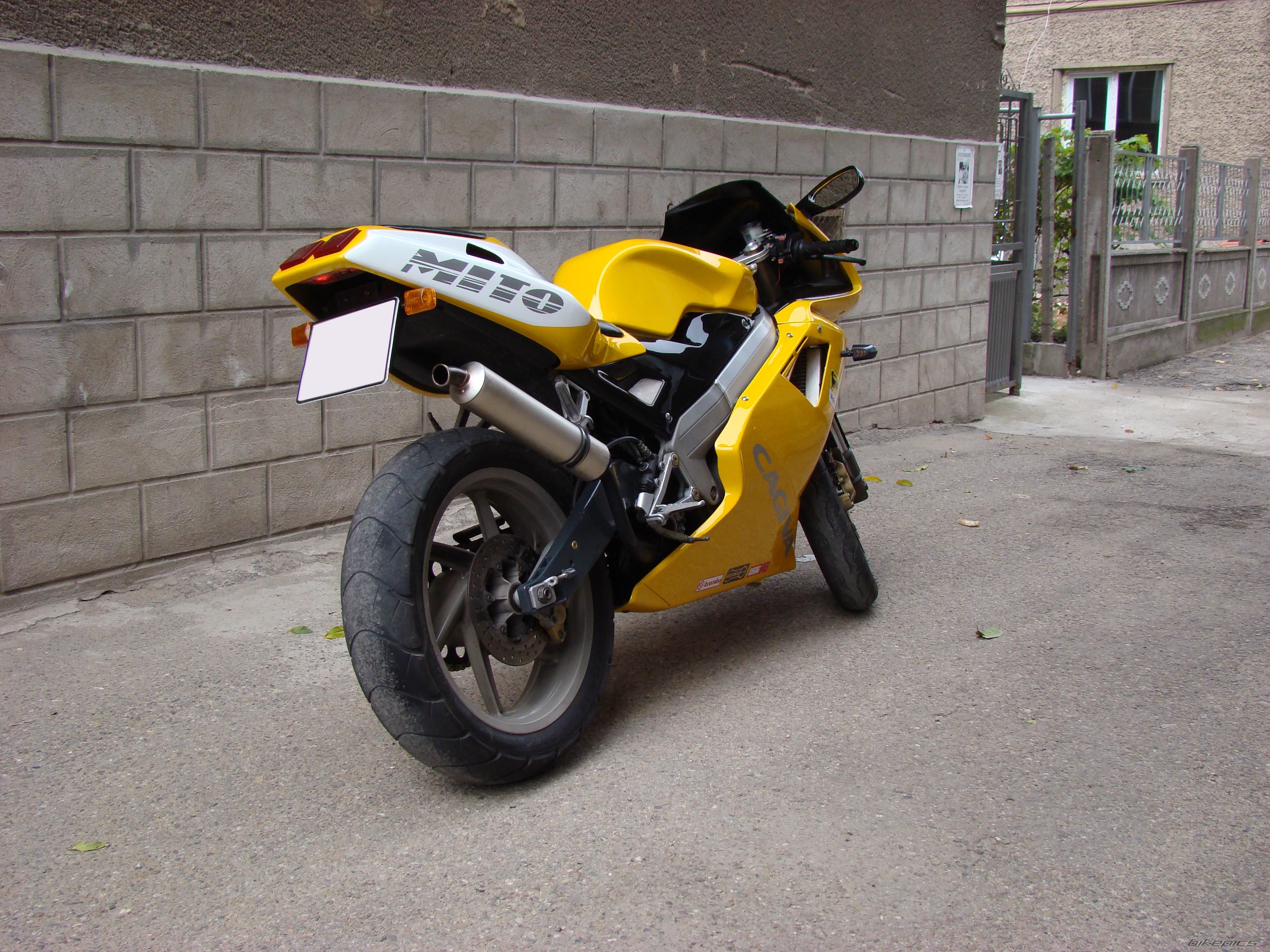 Photo 1440846