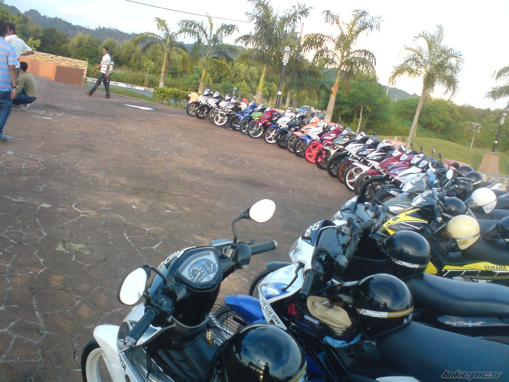 Photo 1440951